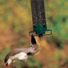 Squirrel-Proof Bird Feeder